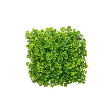 دیوارپوش مدل خورشیدی بسته 4 عددی