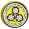سیم برق افشان 1 در 2.5 کابل تک مدل ارت