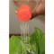 سرشیر آب روان ریز مدل RR-WF4 مجموعه 2 عددی
