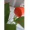 سرشیر آب روان ریز مدل RR-WF4 مجموعه 2 عددی