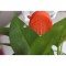 سرشیر آب روان ریز مدل RR-WF4 مجموعه 2 عددی