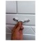 دستگیره کابینت مدل KHAN96  بسته 5 عددی