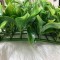دیوارپوش مدل نقش برجسته سایز 25×25 سانتی متر