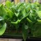 دیوارپوش مدل نقش برجسته سایز 25×25 سانتی متر