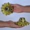 چراغ دیواری و سقفی مدل DECORATIVE