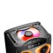 پخش کننده خانگی گرین پی جی دبلیو مدل GSD-D10100