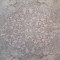 فرش پارچه ای مدل ترمزدار دایره کد 005