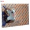 سینک ایلیا استیل مدل 122 روکار سایز 50 × 100 سانتی متر